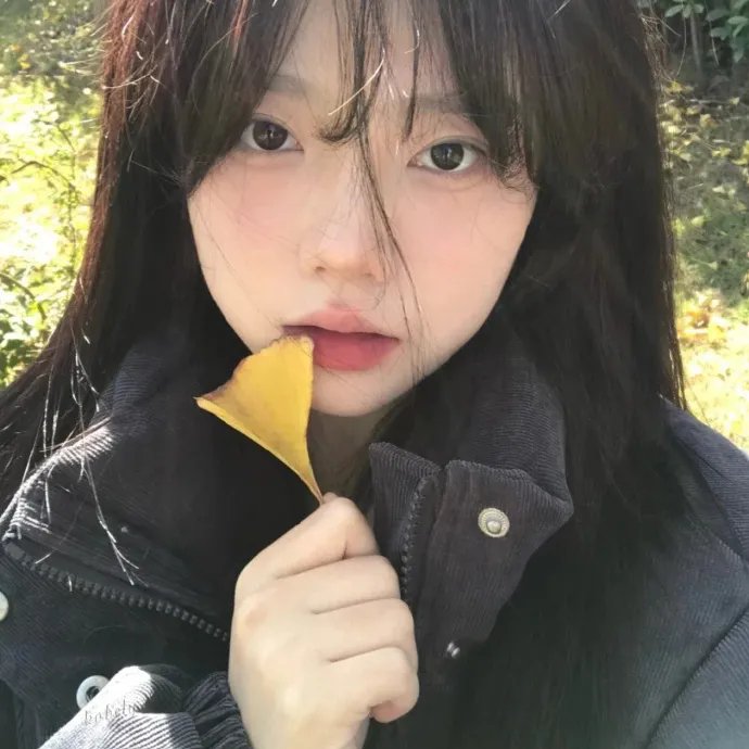我的单板女孩第一季